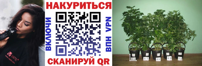 Галлюциногенные грибы Серафимович