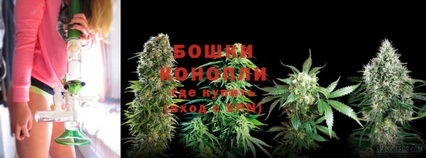 МДМА Гусиноозёрск