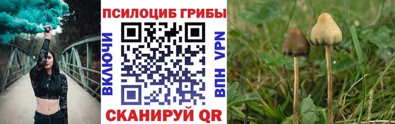 Купить где  Серафимович  Галлюциногенные грибы Cubensis 